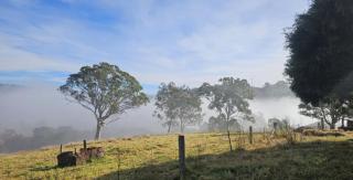 Nelba Cottage - - 3