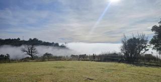 Nelba Cottage - - 1