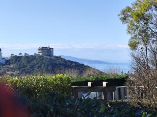 La Colline bleue Biarritz - Biarritz - 3