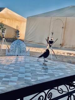Sahara tarula camp - Oulad Akkou - 3