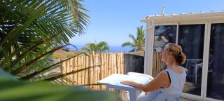 LA PALMERAIE - Locations de Villas et Appartements - Saint-Paul - 9