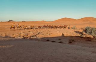 Sahara tarula camp - Oulad Akkou - 6