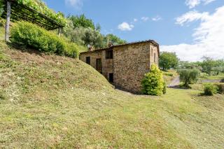 Fattoria di Pietrabuona - Medicina - 1