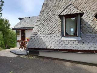 2 hébergements différents un gîte avec 2 chambres et une chambre avec kitchenette - Murat-le-Quaire - 7