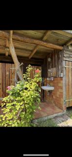 Nest - Penzlin - 6