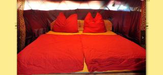 Nest - Penzlin - 4