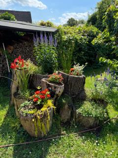 Nest - Penzlin - 2