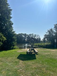 Nest - Penzlin - 1