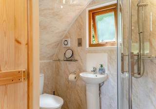 Honeysuckle Hideaway - Newchurch - Newchurch - 1