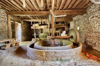 Le pressoir Normand - 7