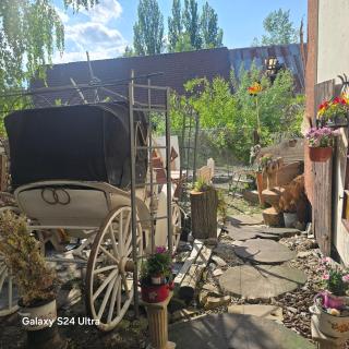 Hostel Apollo - Ząbkowice Śląskie - 8
