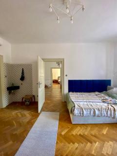 3 Bedrooms spacious apartment near castle in CITY CENTER - Bratislava - 6
