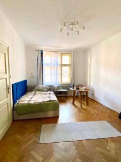 3 Bedrooms spacious apartment near castle in CITY CENTER - Bratislava - 4
