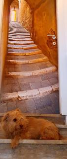 Casa Lorelein - Pieve di Soligo - 9