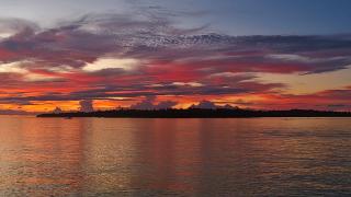 Twin Palms Villa and Homestay - 4