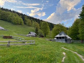 Mountain Lodge Suška Koča - 1