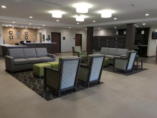 Comfort Inn & Suites Snyder - Snyder - 2