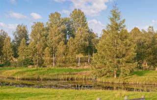 One Bedroom Awesome Home In Ulricehamn - Ulricehamn - 4