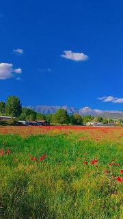 B&B La Foglietta - Paganica - 3