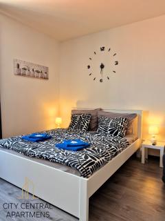 City Center Apartments - Moderna Brno Římské náměstí VI - Brno - 8