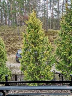 Pod Świerkami - Małe Swornegacie - 6