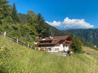 Ferienhaus Leitner - Tires - 0