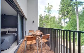 Nowoczesny Apartament Sun Seasons 24 w Karpaczu z Parkingiem i Balkonem by Noclegi Renters - Karpacz - 6