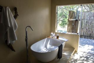 Ezulwini Game Lodges - Balule Game Reserve - 9