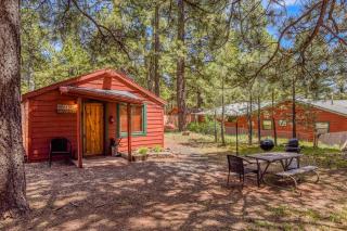 Rustic Adventure w Historic Log Cabin Forest Views 20 minutes from Flagstaff Now with Wi-Fi - Parks - 0