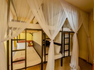 The Slow Leopard - Dar es Salaam - 2