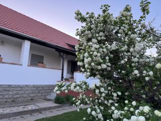 VándorLÓ Vendégház - Komló - 9