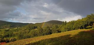 BikeHikeSleep Apartments - Sasbachwalden - 5