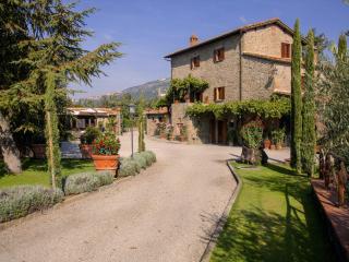 Agriturismo near Cortona with swimming pool - Cortone - 9