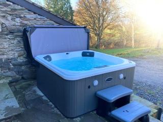 2 Bed in Llandrillo 88598 - Llandrillo - 9