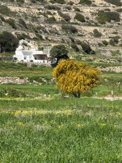 Little House On The Prairie - 2