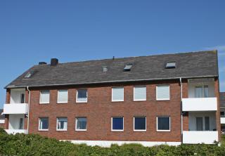 Strandkrabbe - Hörnum - 1