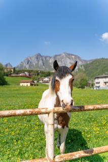 Ballabio IRIS - Relaxing Alpine Getaway - 4