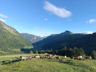 Hintererhof - Hintersee - 1