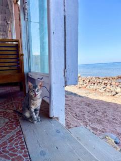 Mirage Village - Dahab - 8