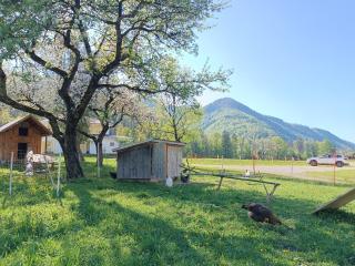 Hintererhof - Hintersee - 8
