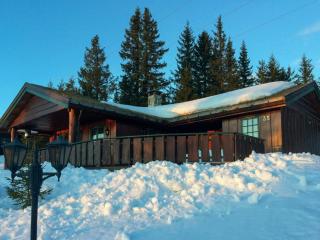 Mountain Cabin With Ski Tracks Nearby - Øyer - 9