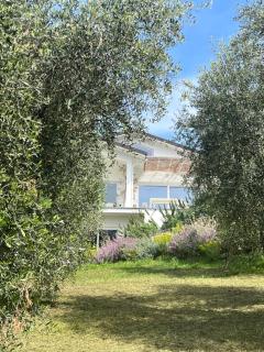 Villa con piscina vicino Roma - 8