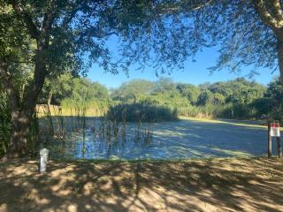 Bush villa at Kruger National Park cycad - Phalaborwa - 3