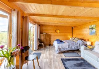 Latchley Meadows Lodge - Sydenham Damerel - 8