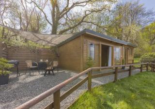 Latchley Meadows Lodge - Sydenham Damerel - 7