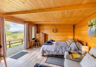 Latchley Meadows Lodge - Sydenham Damerel - 9