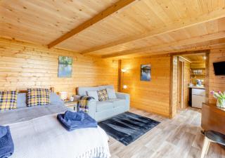 Latchley Meadows Lodge - Sydenham Damerel - 5