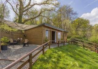 Latchley Meadows Lodge - Sydenham Damerel - 0