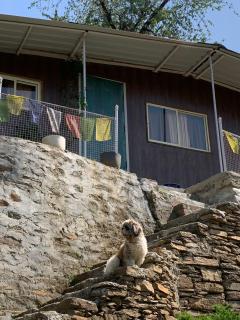 Shivoham Cottage near Dhokane Waterfall - Nainital - 1