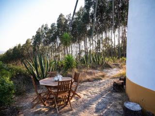 Delightful forest windmill, 10 min away from the beach - Nazaré - 7